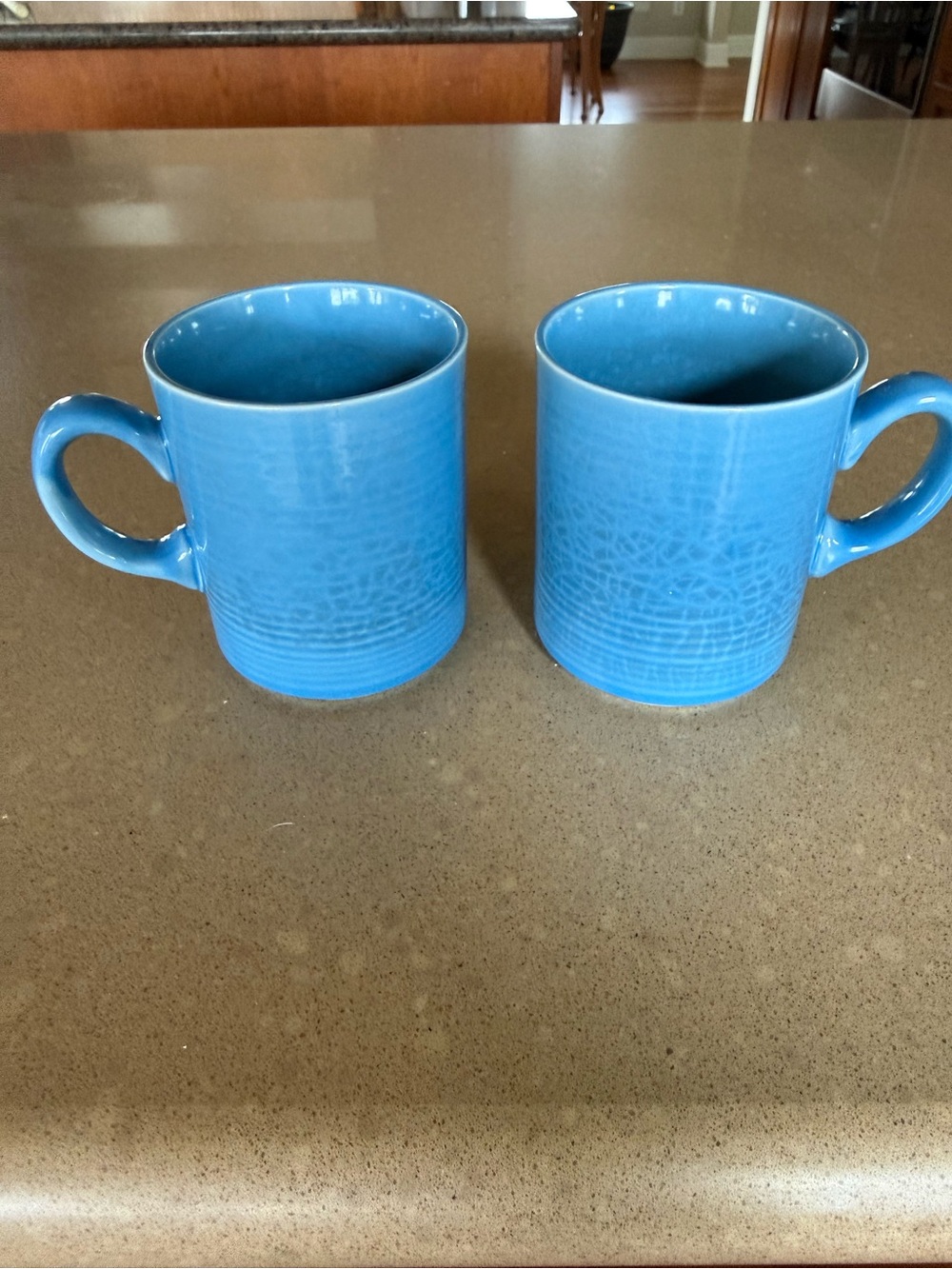 Pier 1 Turquoise Blue Ceramic Mug Pair